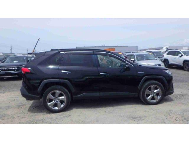 24625957_carP_l_13.jpg