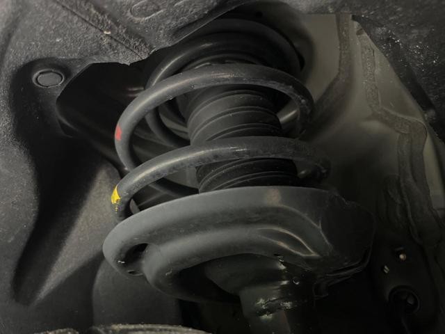 26230743_carP_l_20.jpg