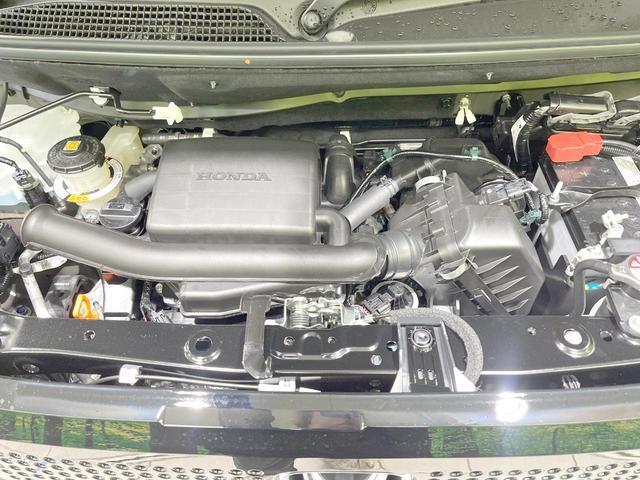 24767859_carP_l_16.jpg