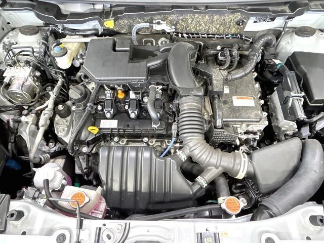 25527786_carP_l_20.jpg