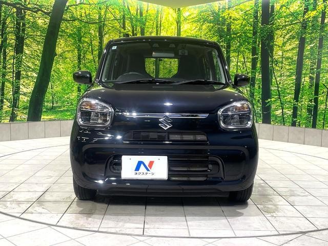 26731641_carP_l_8.jpg