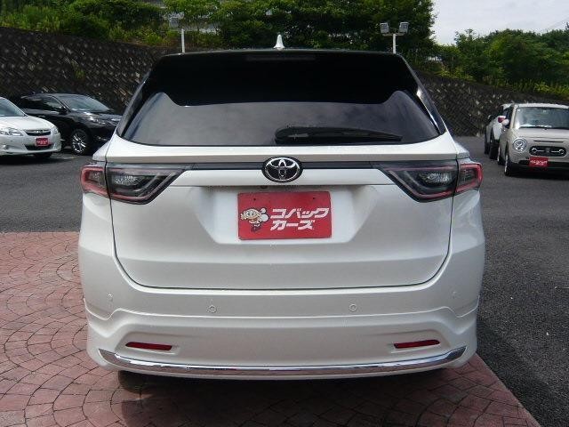 25050780_carP_l_14.jpg