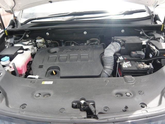 25050780_carP_l_5.jpg