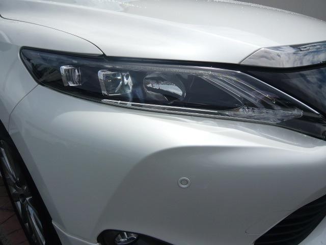 25050780_carP_l_6.jpg