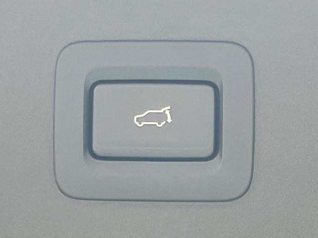 24994413_carP_l_19.jpg