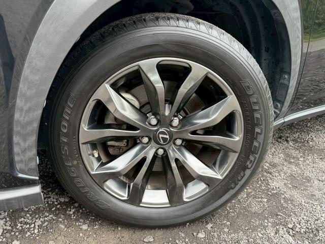 24112705_carP_l_15.jpg