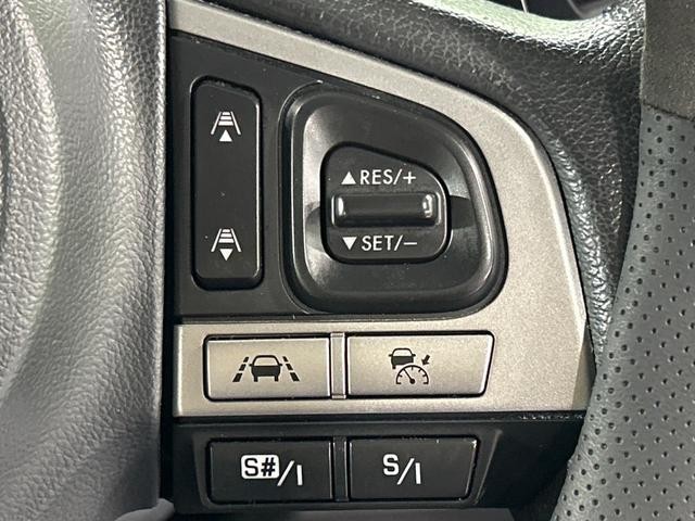 25076230_carP_l_17.jpg