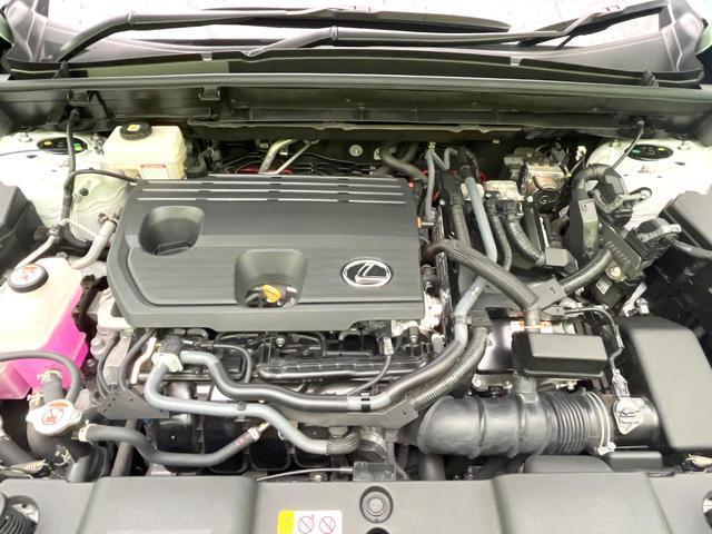 24869070_carP_l_16.jpg