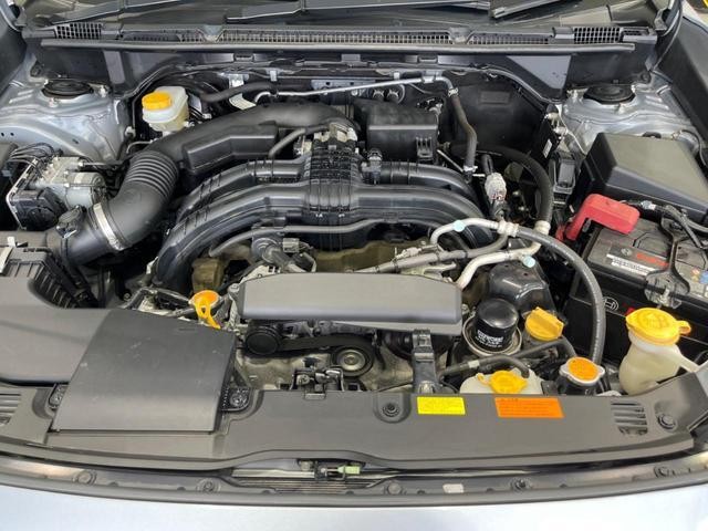 25942733_carP_l_16.jpg