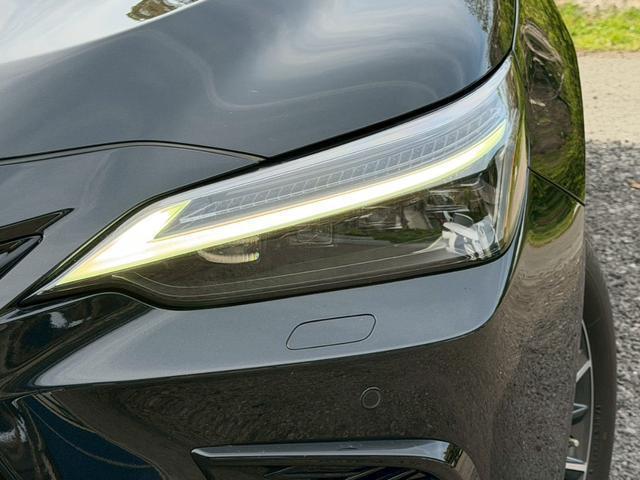 24112707_carP_l_4.jpg