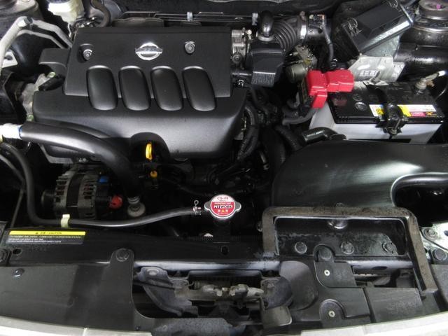 26100759_carP_l_20.jpg