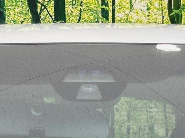 25179387_carP_l_10.jpg