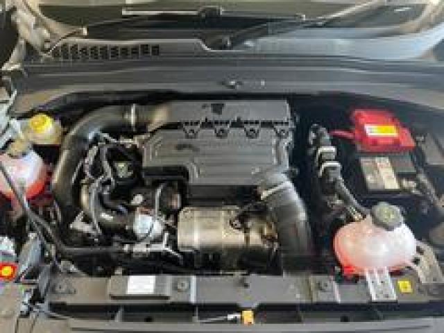 23282528_carP_l_19.jpg