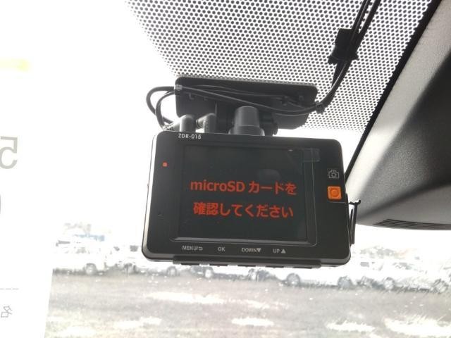 26843922_carP_l_12.jpg