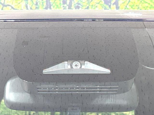 26491879_carP_l_10.jpg