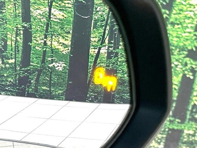 26491879_carP_l_4.jpg
