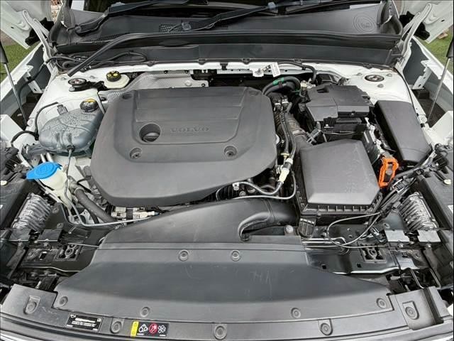 25215405_carP_l_8.jpg