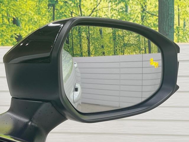 24869118_carP_l_14.jpg