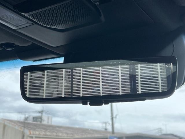 25014890_carP_l_13.jpg