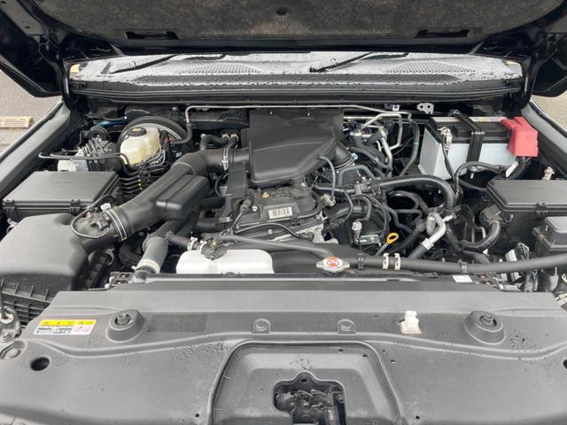 25014890_carP_l_16.jpg