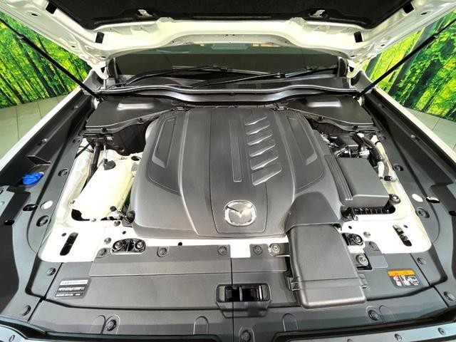 26491455_carP_l_16.jpg