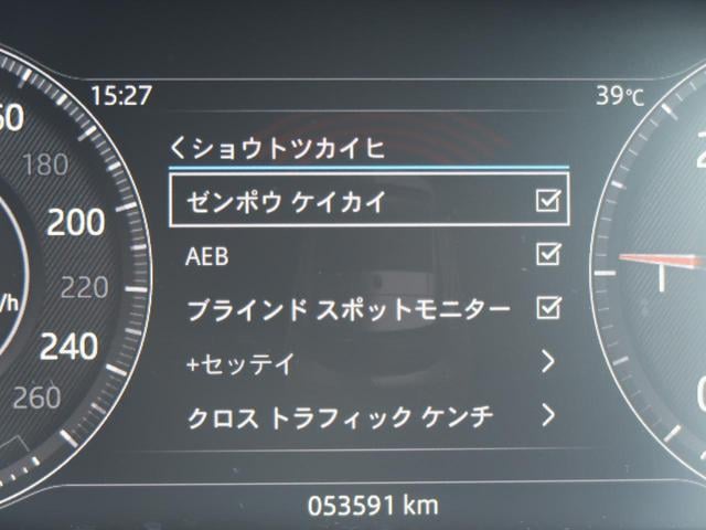 19025263_carP_l_13.jpg