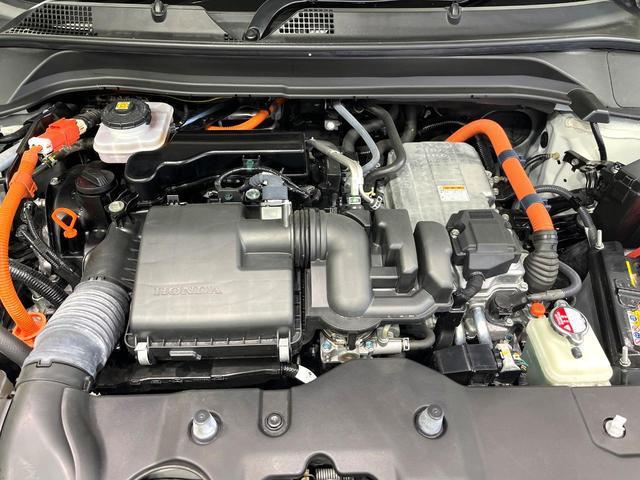 23301856_carP_l_16.jpg