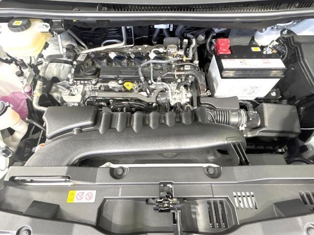 25527797_carP_l_18.jpg