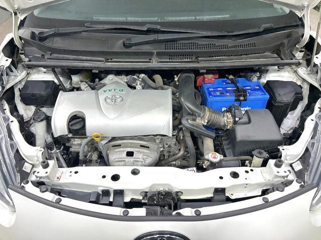 25527798_carP_l_18.jpg