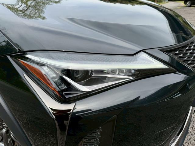 24112712_carP_l_7.jpg