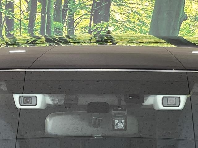 25117248_carP_l_15.jpg