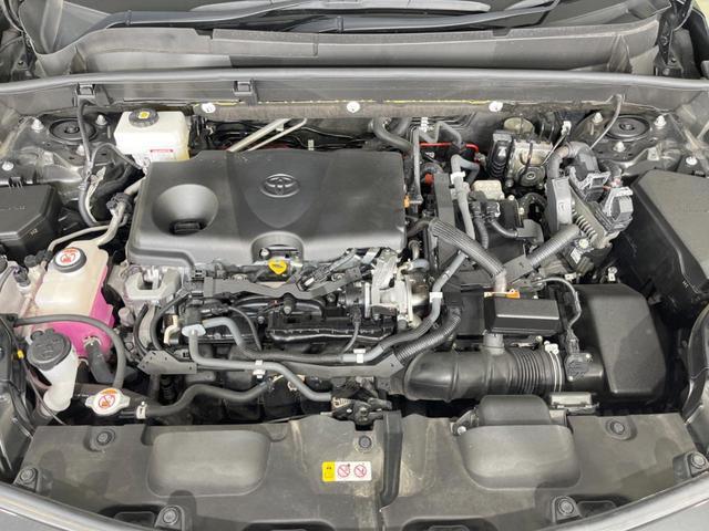 23320318_carP_l_16.jpg