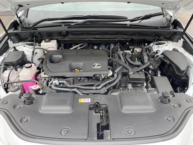 24664636_carP_l_16.jpg
