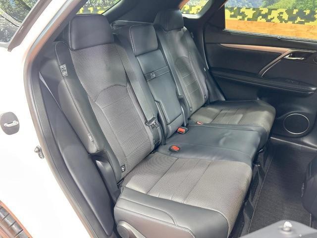 26645481_carP_l_19.jpg