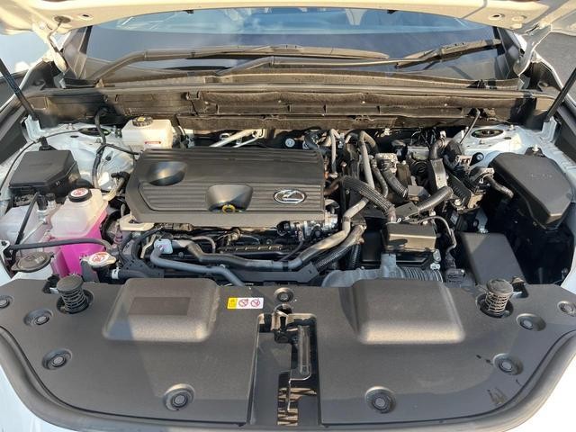 26022583_carP_l_16.jpg