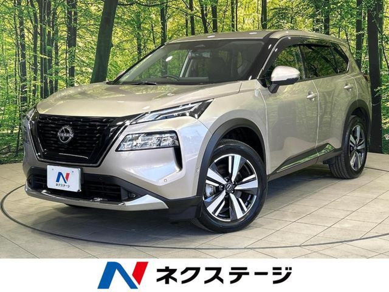 2025 Nissan Xtrail Standard for sale in Kenya