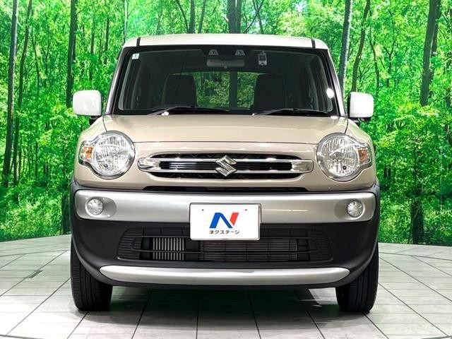 26146878_carP_l_11.jpg
