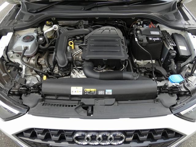 24133284_carP_l_19.jpg