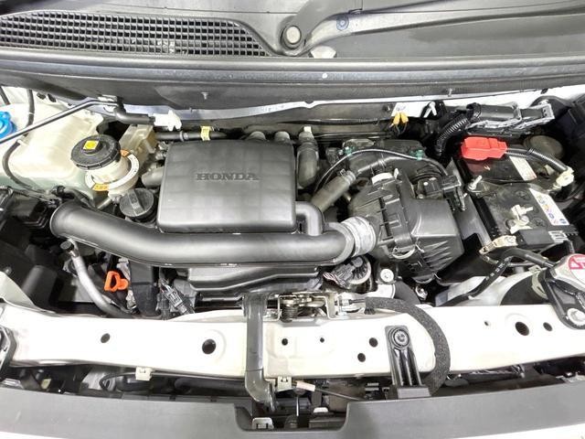 26230867_carP_l_18.jpg