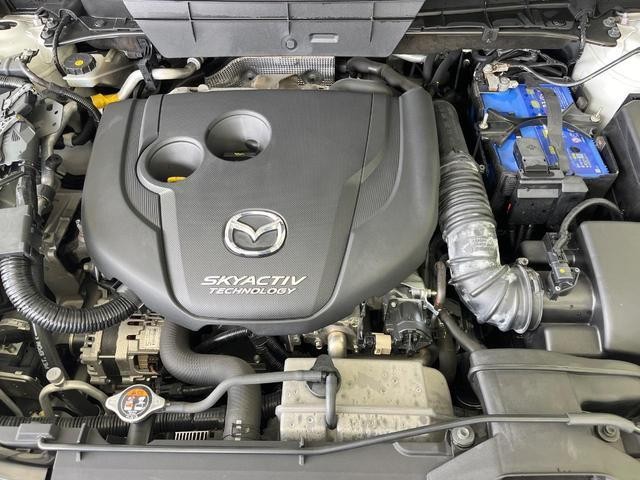 25075896_carP_l_18.jpg