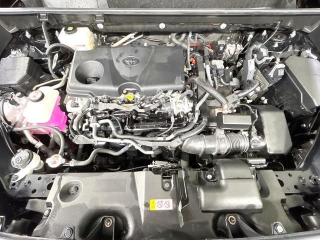 26230871_carP_l_16.jpg