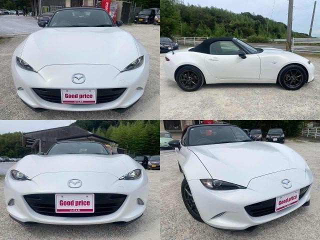 25737773_carP_l_4.jpg