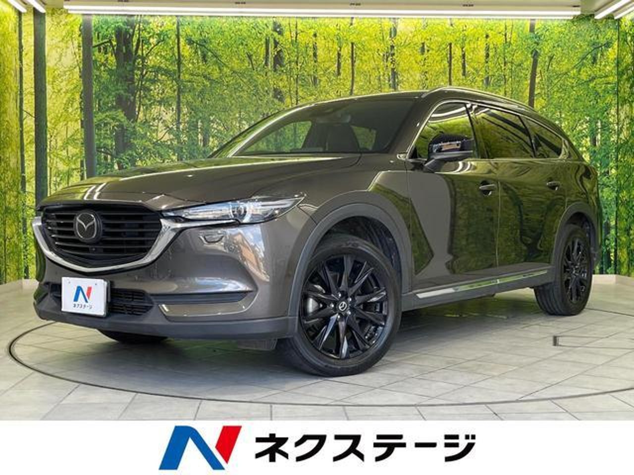 2022 Mazda Cx8, photo 1 of 1