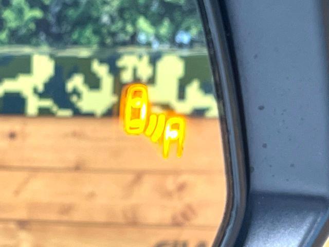 24259678_carP_l_14.jpg