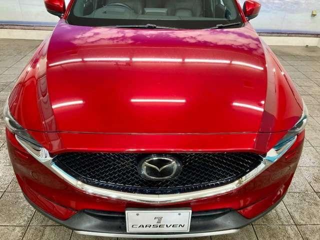26729264_carP_l_18.jpg
