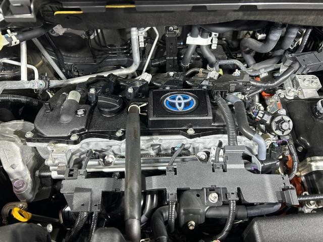 25344587_carP_l_18.jpg
