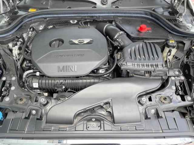 25632620_carP_l_16.jpg