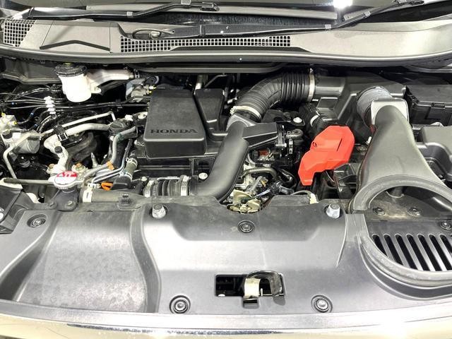 25714584_carP_l_20.jpg