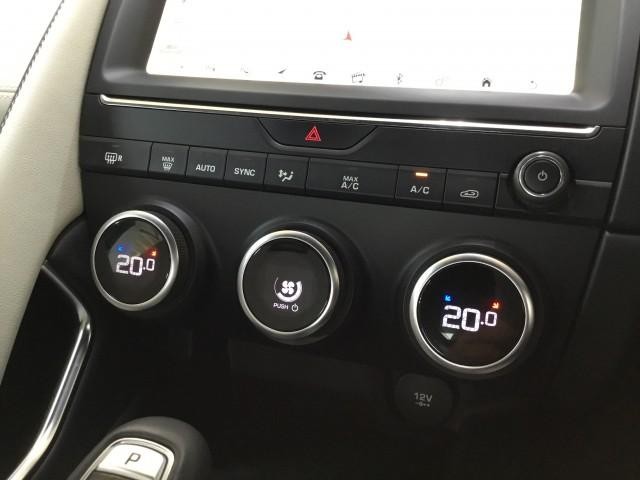25117685_carP_l_9.jpg