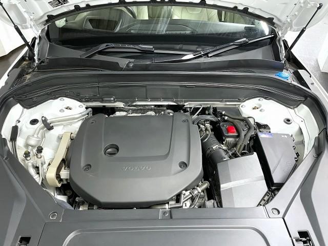 24850086_carP_l_17.jpg